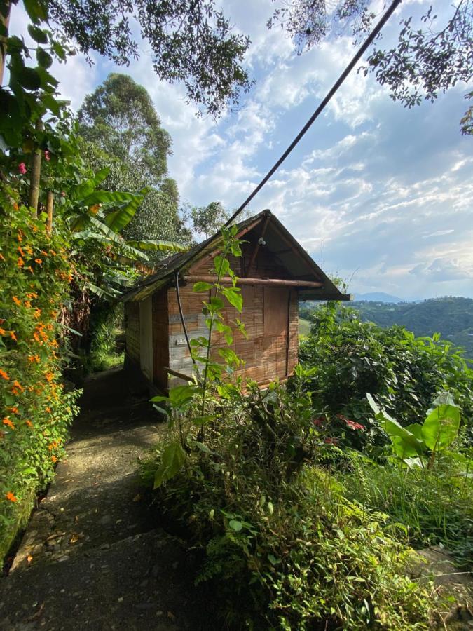 Eco Lodge La Juanita Manizales Exterior photo