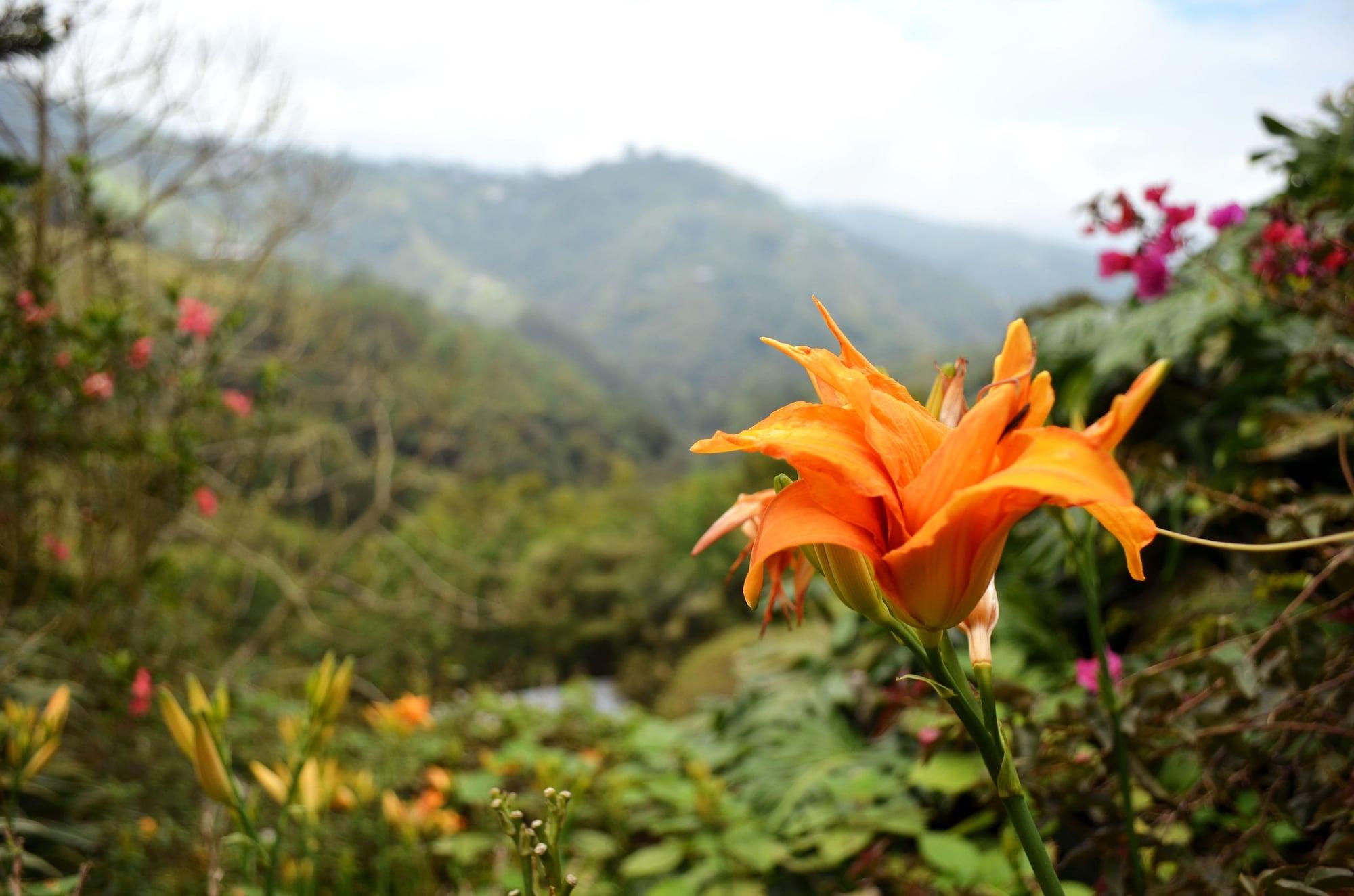 Eco Lodge La Juanita Manizales Exterior photo