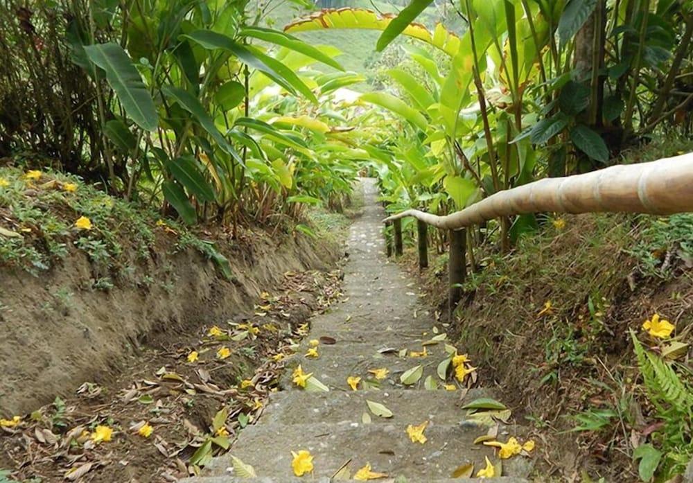 Eco Lodge La Juanita Manizales Exterior photo