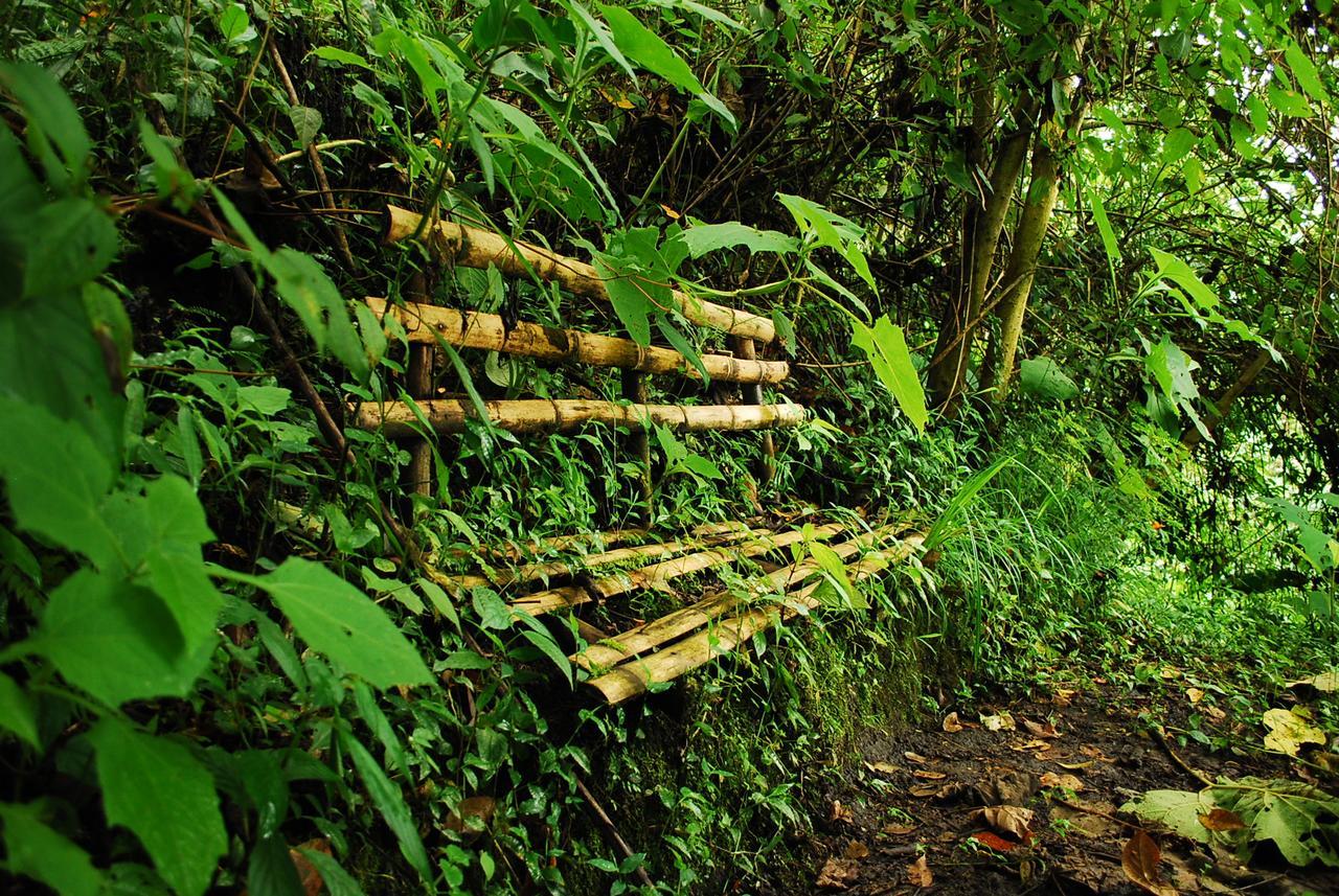 Eco Lodge La Juanita Manizales Exterior photo