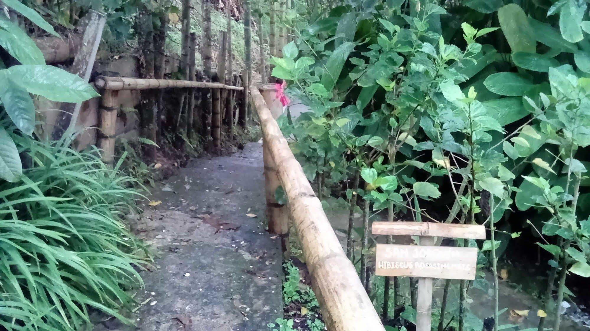 Eco Lodge La Juanita Manizales Exterior photo